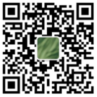 微信搜一搜